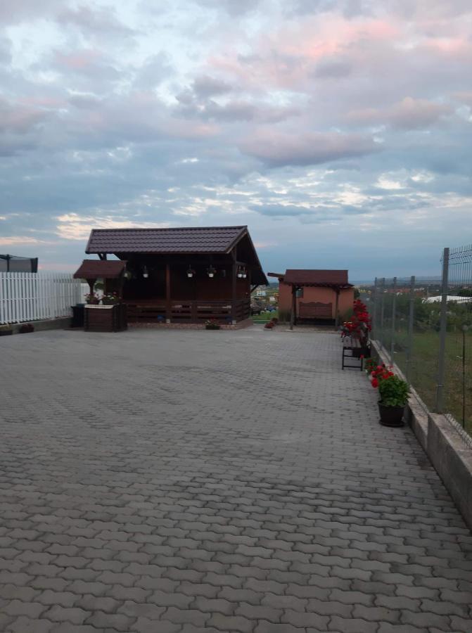 Casa Alba Hotel Sandulesti Екстериор снимка